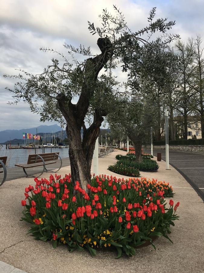 Caba Holiday Bardolino D'Annunzio 外观 照片